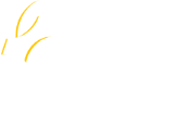 Logo 11
