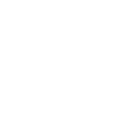 Logo 7
